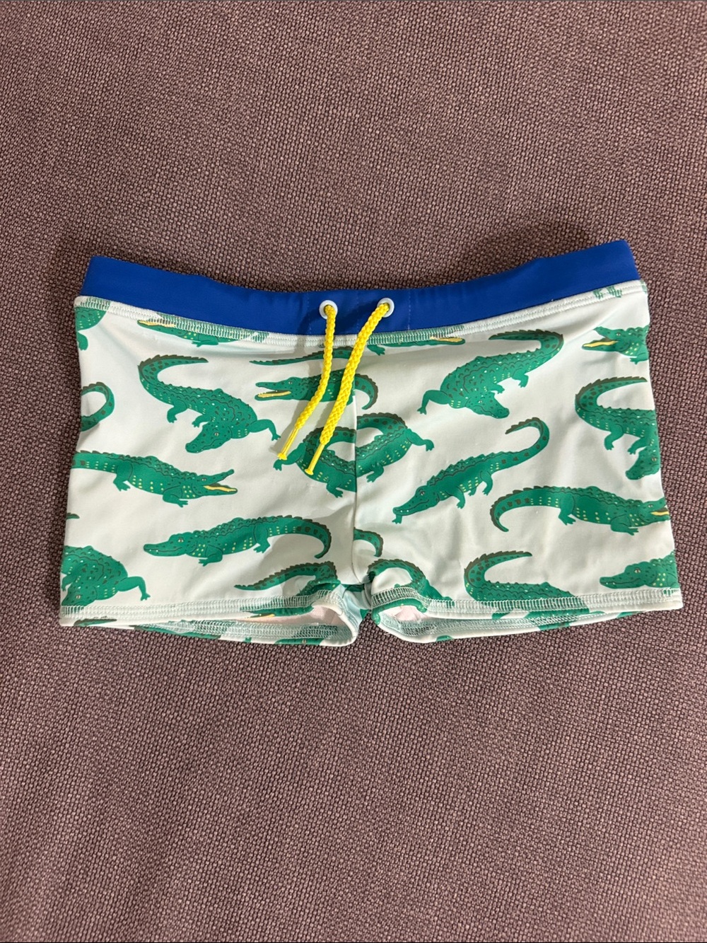 Mini Boden Boys Swim Shorts